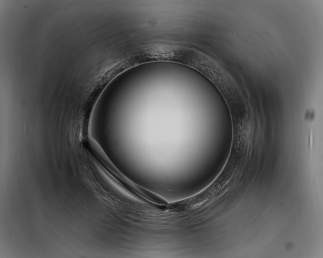 X0000098180600200804241223