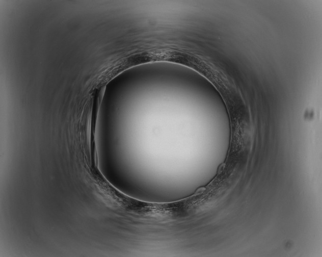 X0000098180601200804241223