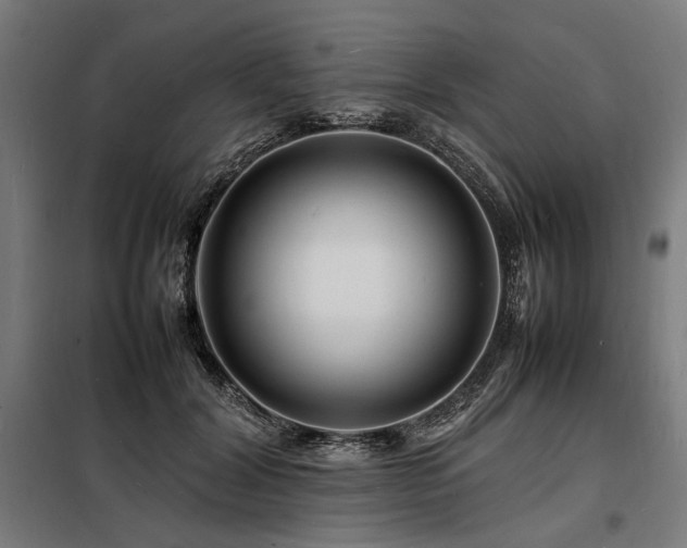 X0000098180604200804241223