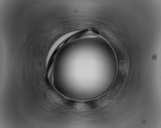 X0000098180605200804241223