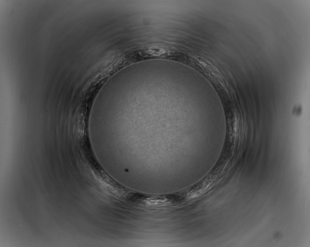 X0000098180606200804241223