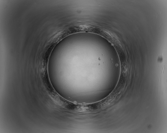 X0000098180607200804241223