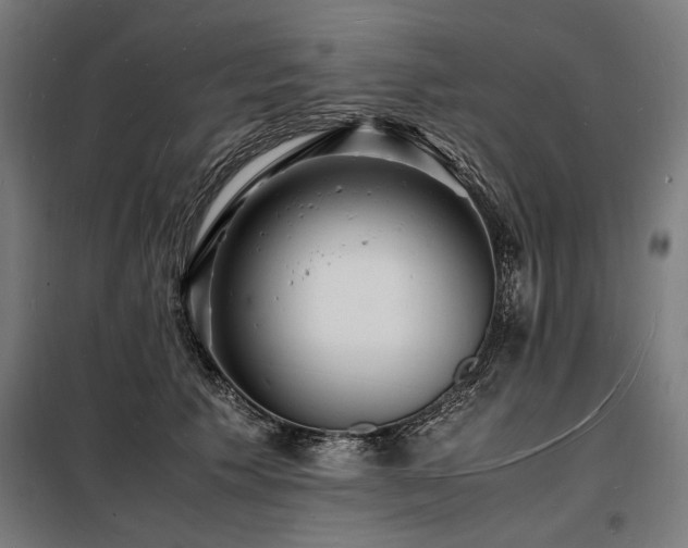 X0000098180609200804241223