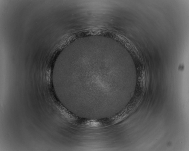 X0000098180610200804241223