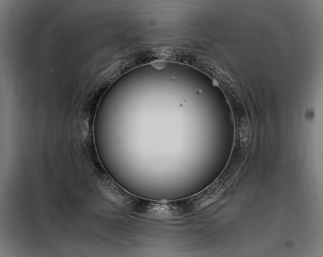 X0000098180611200804241223