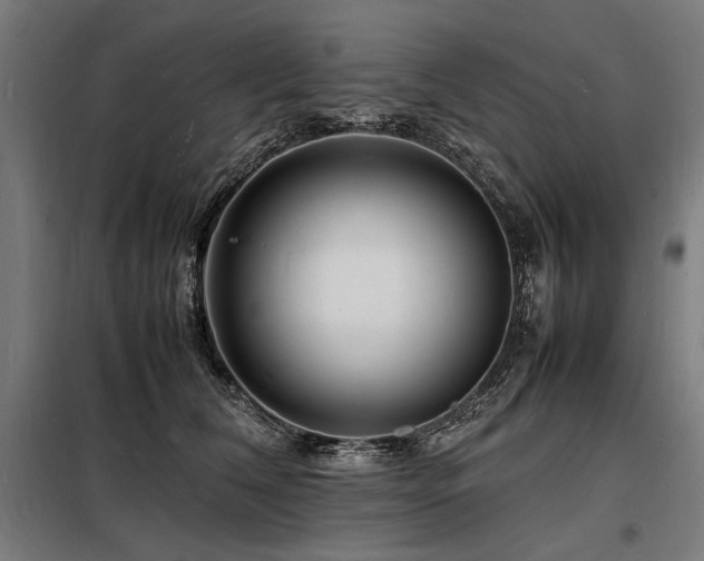 X0000098180612200804241223