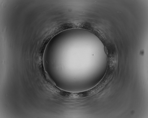 X0000098180613200804241223