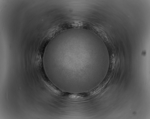 X0000098180614200804241223