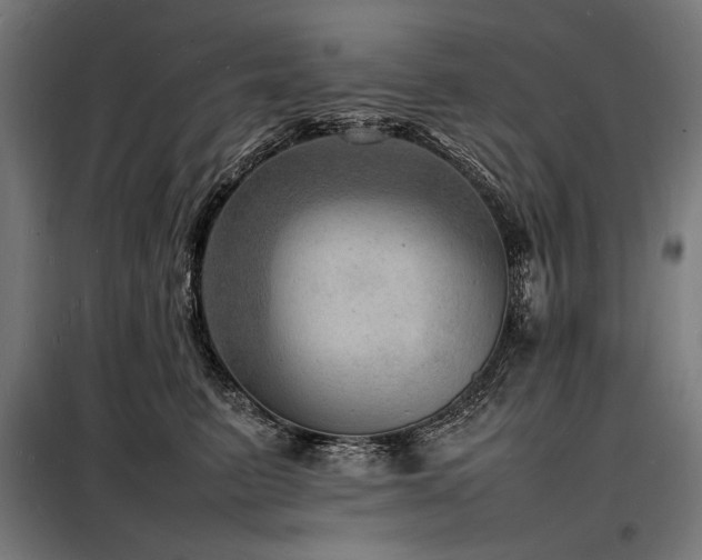 X0000098180615200804241223