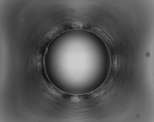 X0000098180616200804241223