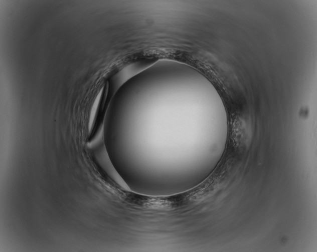 X0000098180617200804241223