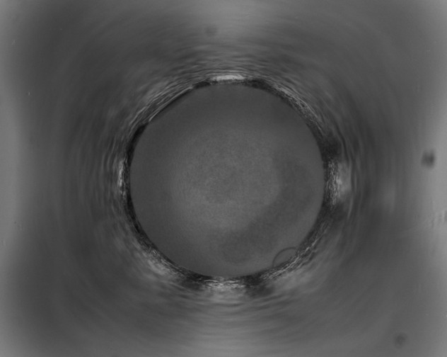 X0000098180619200804241223