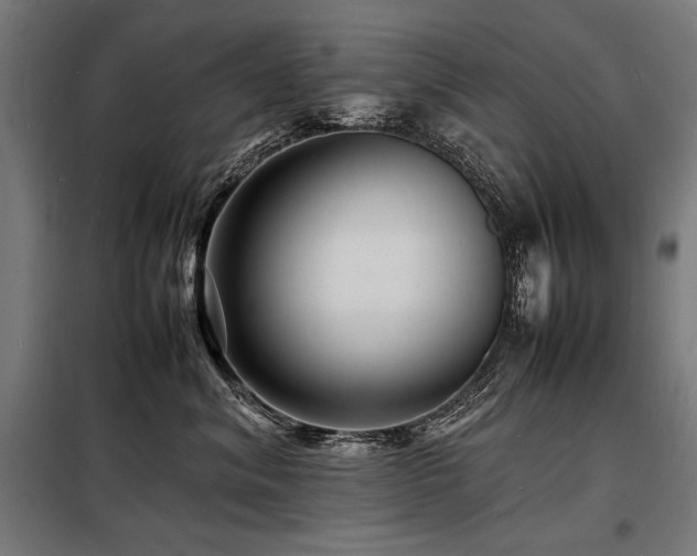 X0000098180620200804241223