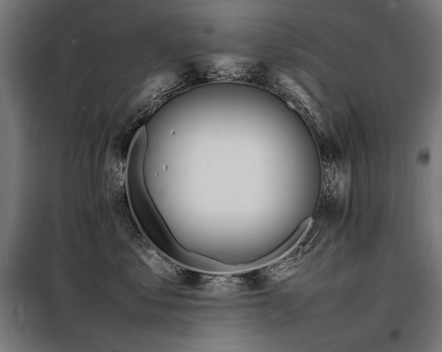 X0000098180621200804241223
