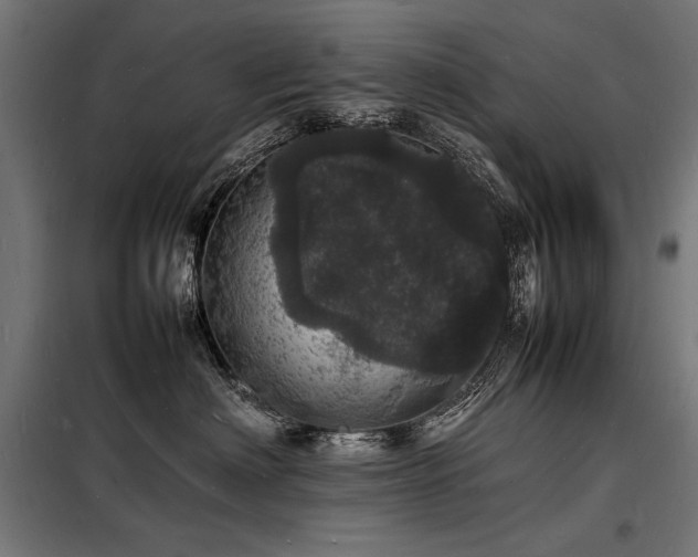 X0000098180622200804241223
