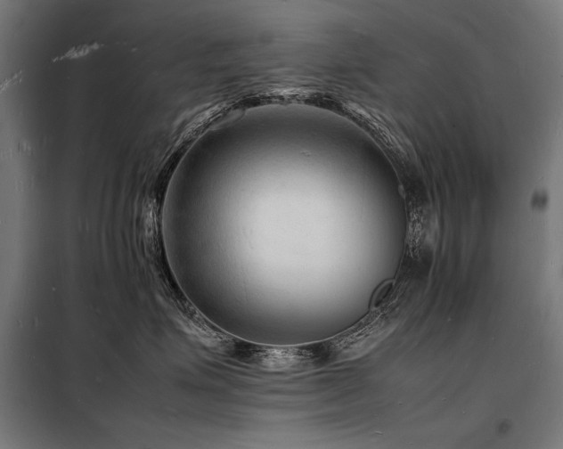 X0000098180623200804241223