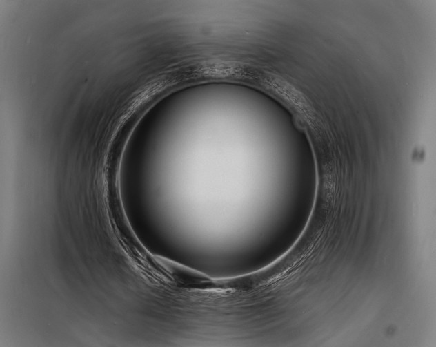X0000098180626200804241222