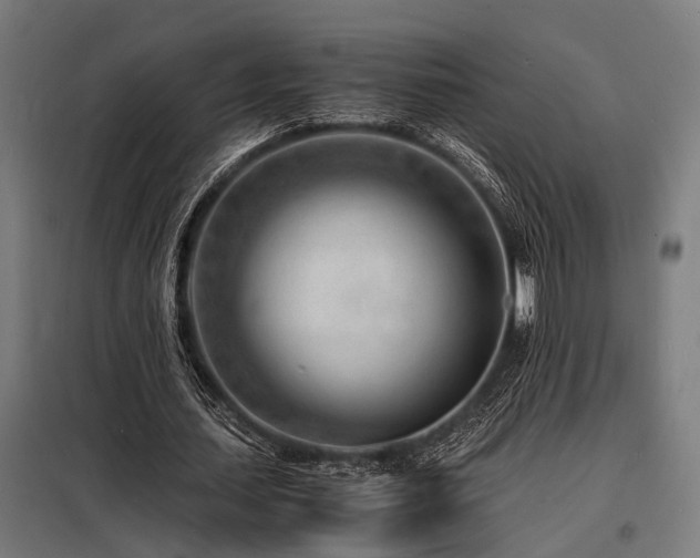 X0000098180627200804241222