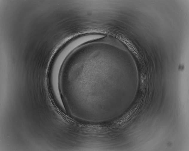 X0000098180628200804241222