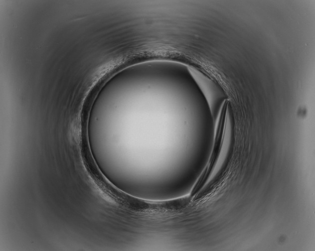 X0000098180630200804241222