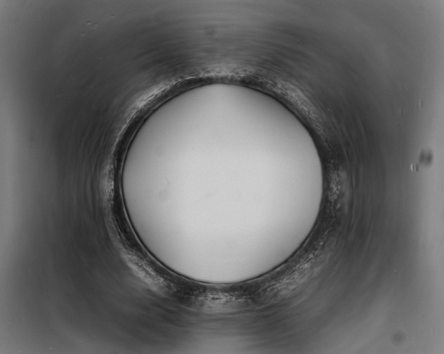 X0000098180632200804241222