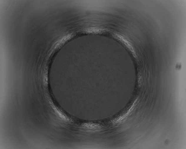 X0000098180633200804241222