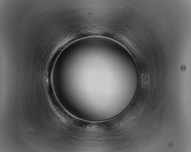 X0000098180634200804241222
