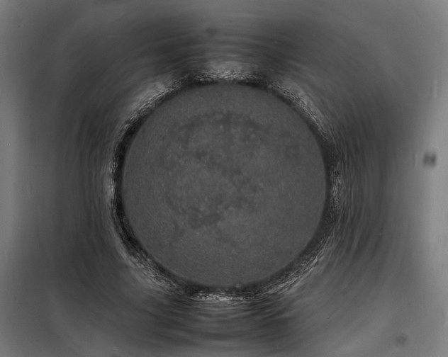 X0000098180635200804241222