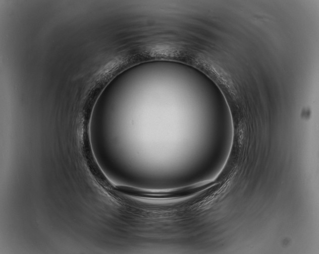 X0000098180637200804241222