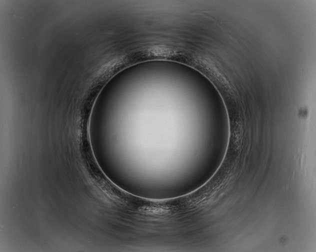 X0000098180639200804241222