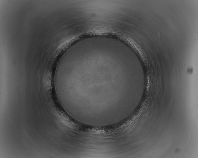X0000098180640200804241222
