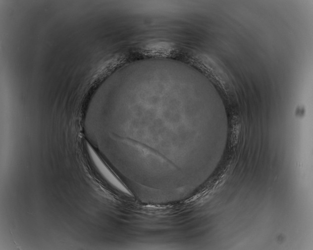 X0000098180641200804241222