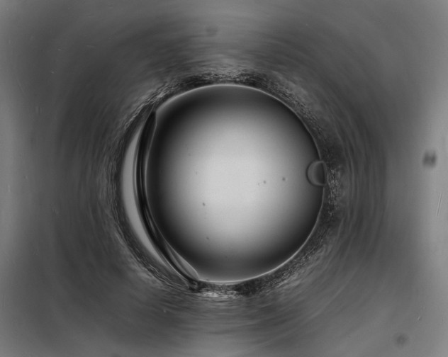 X0000098180642200804241222