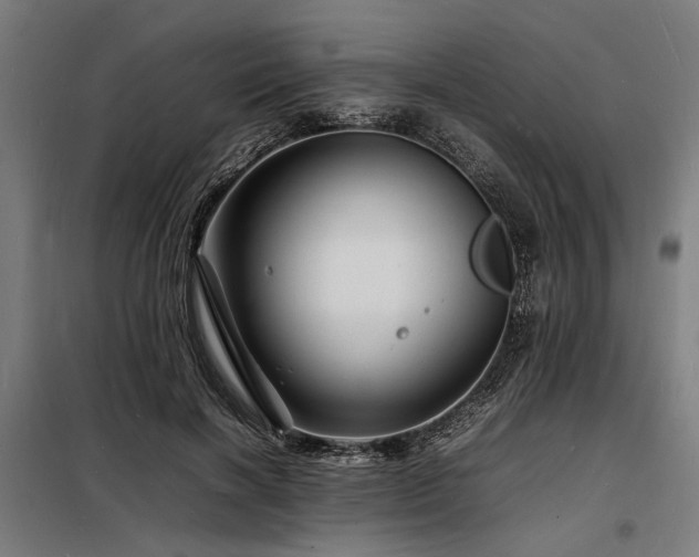 X0000098180646200804241222