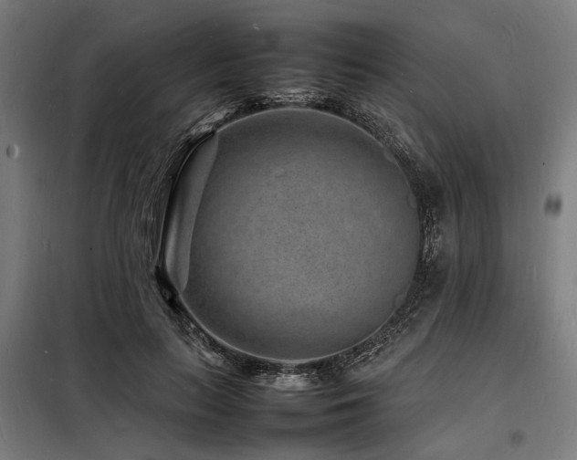 X0000098180647200804241222