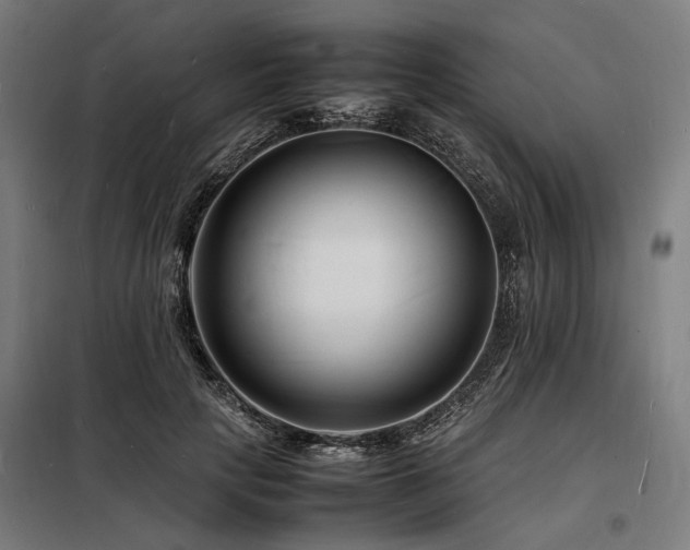 X0000098180649200804241222