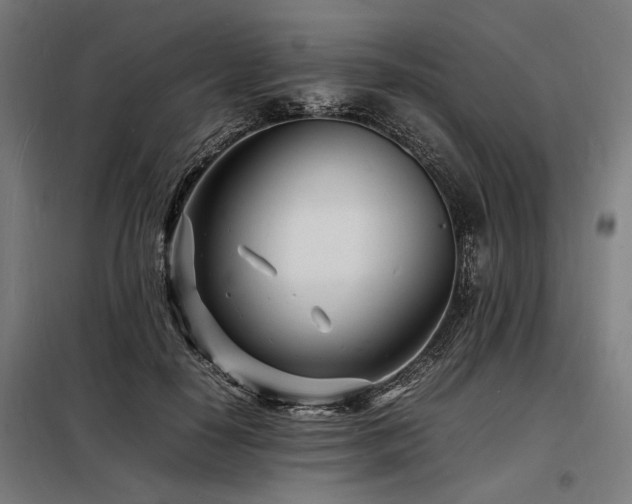 X0000098180650200804241222