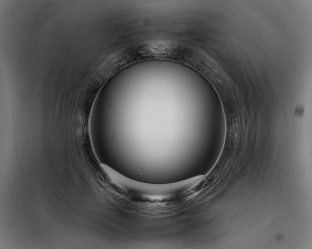 X0000098180651200804241222