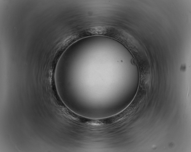 X0000098180652200804241222