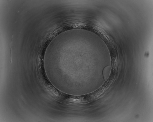 X0000098180655200804241222