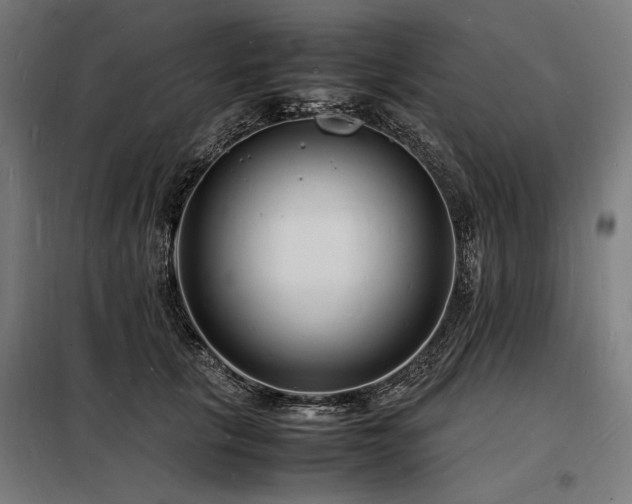 X0000098180657200804241222