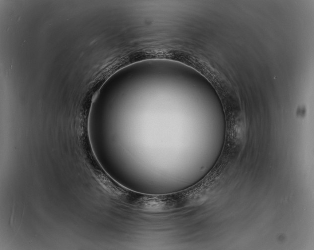 X0000098180658200804241222