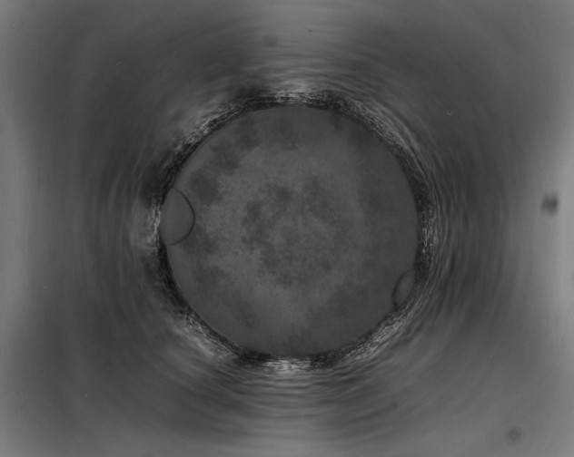 X0000098180660200804241223