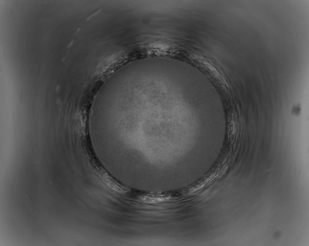 X0000098180661200804241223