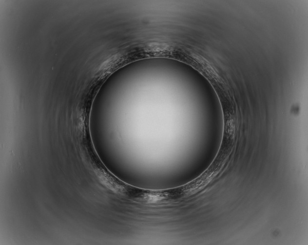 X0000098180662200804241223