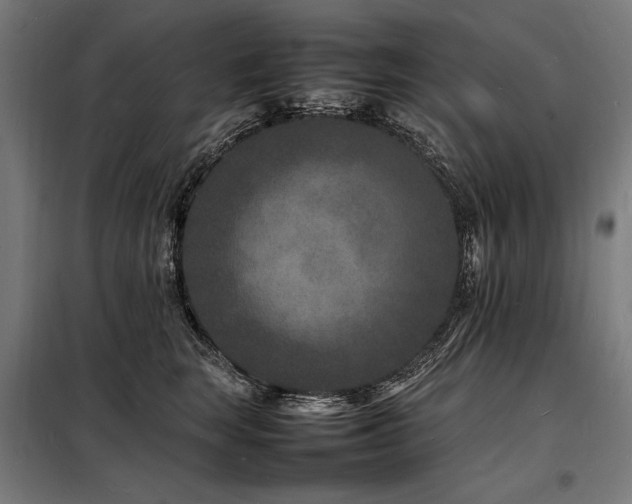 X0000098180663200804241223