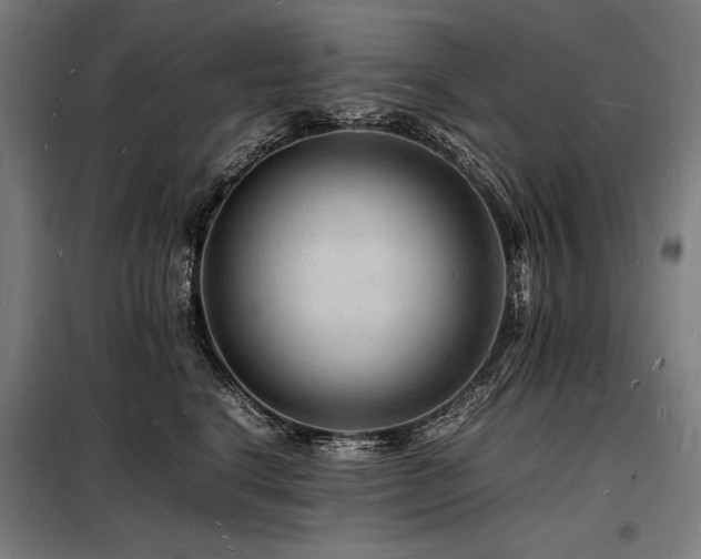 X0000098180664200804241223