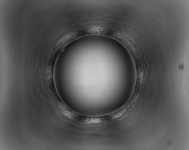 X0000098180665200804241223