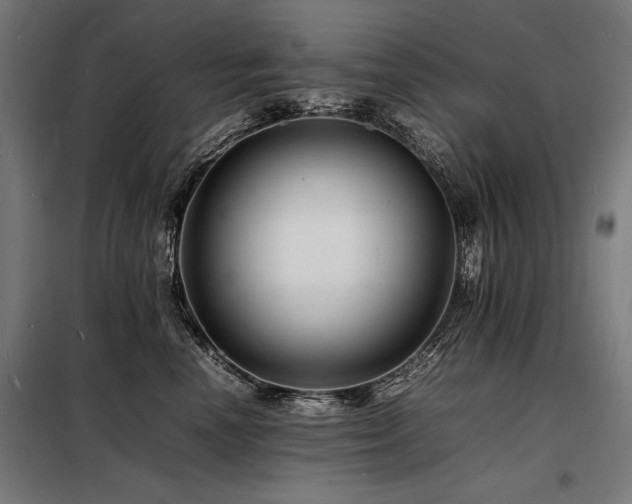 X0000098180666200804241223