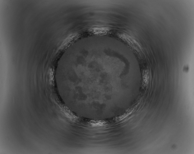 X0000098180667200804241223
